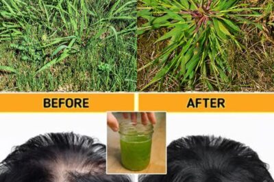 The “Weed” That Could Save Your Hair: Unveiling the Unexpected Truths of Crabgrass for Natural Hair Loss Remedies!