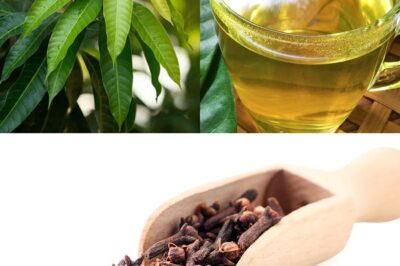 Boil Mango Leaves with Cloves and Drink It Before Bed — The Results on Blood Sugar, Sleep, and Inflammation Are Incredible!