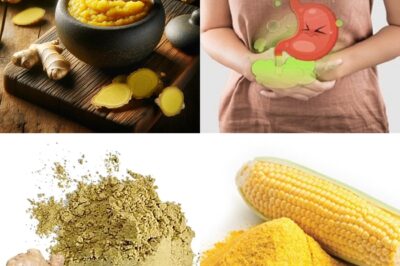 Just Cornstarch and Ginger? This Simple Mix Replaces an Expensive Market Product – Why Is No One Talking About It?