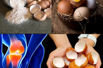 My Mother Couldn’t Walk Because of Knee and Bone Pain — Until She Tried THIS Simple Trick with an Egg! The Results Left Us Speechless