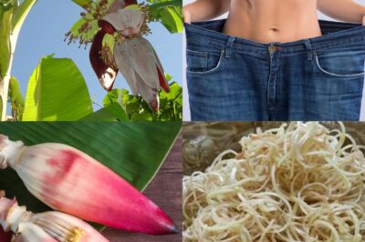 💥 You’ve Been Ignoring the Most Powerful Part of the Banana Tree: Here’s Why Banana Blossom Deserves a Place on Your Plate!
