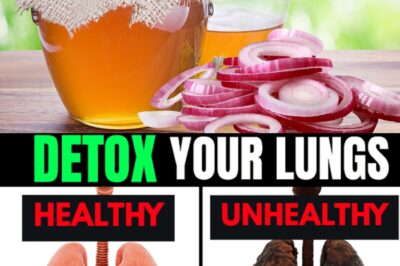 🧅🍯 Just 1 Day with Onion and Honey – The Natural Remedy Your Body Has Been Begging For!