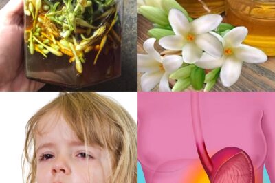 No More Coughs or Gut Woes? Unlock the Ancient Power of Papaya Flowers in Honey – Your Kitchen’s Hidden Miracle Cure!
