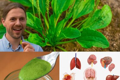 This So-Called “Weed” Heals Everything but Your Bad Attitude: