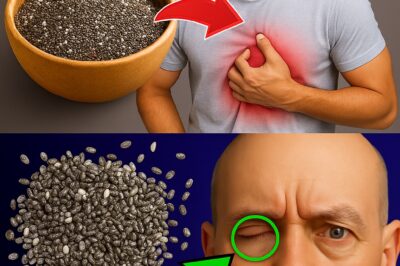 I Ate Chia Seeds Every Night for a Week — And My Body Basically Turned Into a Wellness Machine