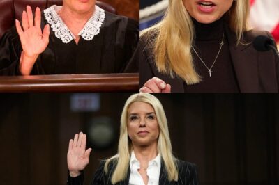 Judge Judy’s got a meltdown! She went off on Pam Bondi LIVE ON TV and the studio is SHOOK. But what really silenced the room was her icy one-liner.