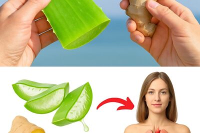 Nature’s Ultimate Defense: Unleash the Power of this 150x Stronger Than Garlic & Lemon Superfood! Are you ready to supercharge your health? We’ve got a natural game-changer for you! This incredible ingredient is 150 times more potent than garlic and lemon, and it’s a total bacteria-buster! Say goodbye to pesky pathogens and hello to a stronger you!