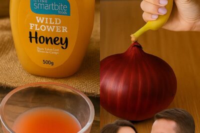 Guys, Forgot Your Joystick’s Not Powering Up? Here’s the Onion + Honey Hack That’ll Bring It Back to Life ⚡