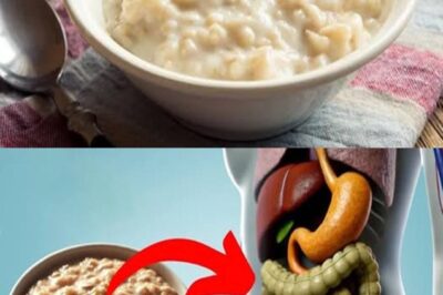 The Breakfast That Quietly Turns You Into a Health Beast (Yeah, We’re Shocked Too 🥣💪)