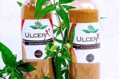 Unlocking the Power of Nature: How Herbal Medicine is Transforming Health Without Side Effects