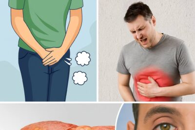 10 Signs Your Liver’s Crying for Help (But You’re Too Busy Ignoring It) 🍻💀