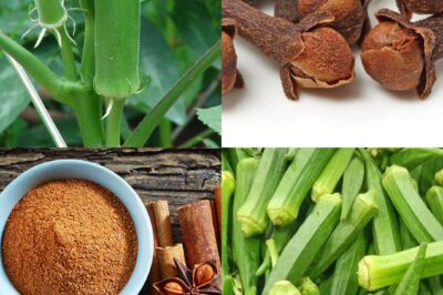 Nature’s Quiet Comeback: The Simple 3-Ingredient Ritual That’s Reviving Life After 50