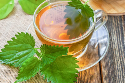 Unlock the Power of Nettle and Lemon! Mixing these two natural wonders can boost your energy, detoxify your body, and support your overall wellness, and many other interesting applications.