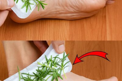 Game-changer alert! Ditch the expensive products and hack your period with rosemary!