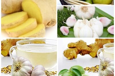 Unlock the amazing health benefits of garlic, ginger, and lemon! This powerful trio boosts your immune system, aids digestion, supports heart health, and helps detox your body naturally.