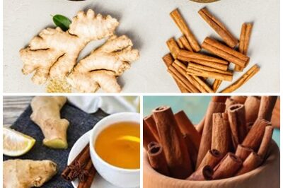 Combining the potent forces of ginger and cinnamon can lead to remarkable benefits for your well-being, especially in areas such as weight loss, digestion, inflammation, and overall health. The synergy between these two natural ingredients works wonders by boosting your metabolism, cleansing the body, and enhancing circulation.