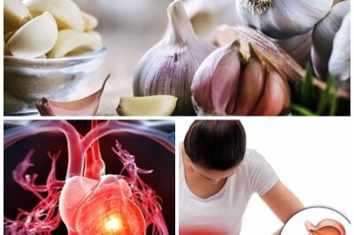 The amazing benefits of eating raw garlic every day! Raw garlic is a natural superfood that can boost your immune system, lower cholesterol, support heart health, and help detox your body. Add it to your daily routine for better digestion and more energy.