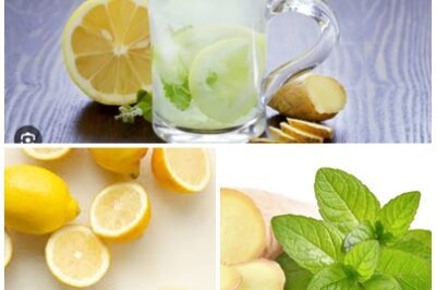 Really surprising, Mint, Lemon & Ginger Juice! Packed with vitamin C and antioxidants, it’s perfect for detox, boosting your immune system, and cooling down on hot days. Simple to make at home, this natural drink will keep you energized and hydrated.