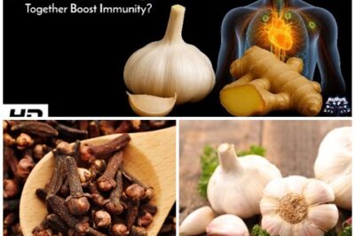 Unlock the benefits of garlic, ginger, and cloves! This potent combination flushes toxins, destroys fungal infections, eases joint pain, and boosts immunity.