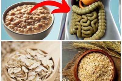 Oatmeal might look like a simple breakfast, but what it does inside your body is nothing short of amazing. Experts are increasingly impressed by the powerful health effects of eating oatmeal daily