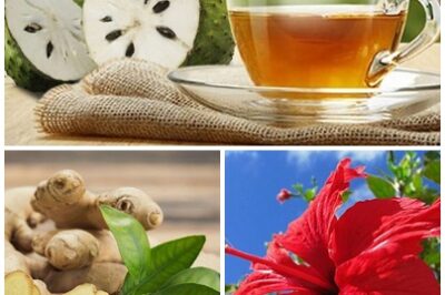 This vibrant, refreshing drink not only tastes great, but it’s also loaded with antioxidants, anti-inflammatory agents, and healing plant compounds. Stop hair aging Must express something to keep getting my recipes