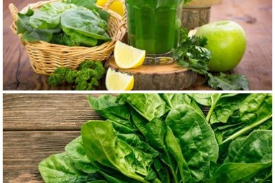 Despite its “weed” status, lamb’s quarters has an impressive nutrient profile that rivals many of the well-known superfoods. Wild Spinach Power: 10 Health Benefits of Lamb’s Quarters You Should Know.