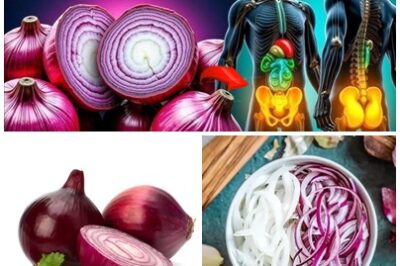 ONIONS 101! Beyond adding flavor, onions have amazing health benefits. From supporting thyroid health to purifying blood. It’s wonderful with these benefits; it deserves to be loved even more. Learn more about onions!