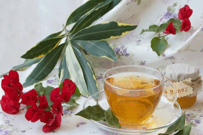 Experience the Miraculous Benefits of Bay Leaf and Clove Tea! From aiding digestion to promoting healthy skin, this tea is a natural solution for overall wellness.