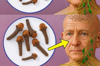 Discover the surprising benefits of chewing 2 cloves daily on an empty stomach…..