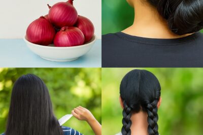 STOP HAIR FALL & GET LONGER LOCKS! Did you know onion oil can be a game-changer for your hair? Rich in sulfur, antioxidants, and essential nutrients, onion oil promotes hair growth, prevents breakage, and fights dandruff. Here’s a simple recipe to make onion oil at home: