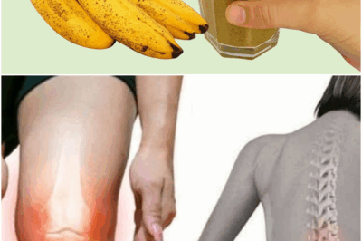 Homemade collagen for pain, inflammation & joints—natural support your body will love!