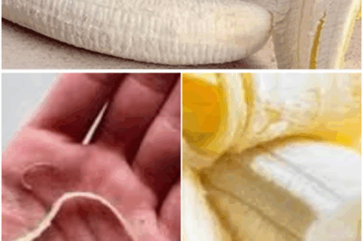 This is why there are small strings on the bananas. Did you know this?Must express something to keep getting my recipes….