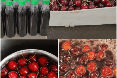 🍒This cherry syrup is so good it should be illegal. No pitting. No fake junk. No preservatives. Just an old-school recipe that slaps harder than store-bought nonsense.  Your grandma probably made it. Your mom forgot about it. Now it’s YOUR turn to bring it back 🔥