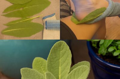 This “weed” is worth more than cash — and it’s probably growing in your freakin’ yard….