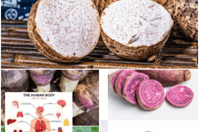 Discover the Power of Taro Root: Unlock its numerous health benefits, from boosting digestion to supporting heart health.