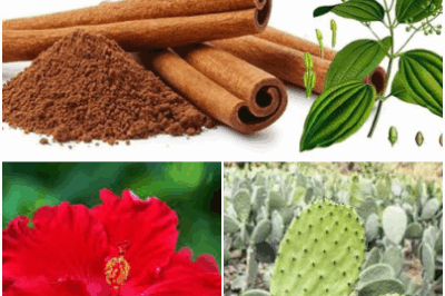 The power of nature is great. Do you know the wonderful uses of these small plants? This Natural Drink Detoxes Your Body, Cleanses Your Kidneys, Fights Fatty Liver, and Helps Reverse Type 2 Diabetes.