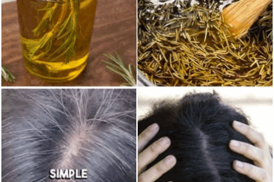 Say Goodbye to Gray Hair: Discover the natural recipe that can help slow down graying. Rosemary might be the answer you’ve been looking for!