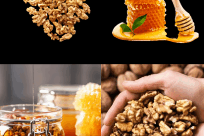 Nature provides some of the most potent superfoods, and the combination of honey and walnuts is a perfect example.  From boosting energy levels to improving heart and brain health, this duo can make a significant impact on your daily routine.