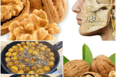 Grandma’s Secret Revealed: Boiling walnuts can unlock their full potential for improved sleep and bone health.