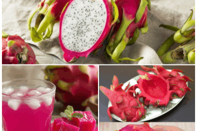 DRAGON FRUIT PEEL: THE NEXT BIG THING IN HEALTH! Discover how the antioxidants in dragon fruit peel can help with anti-aging, reduce inflammation, and boost circulation.
