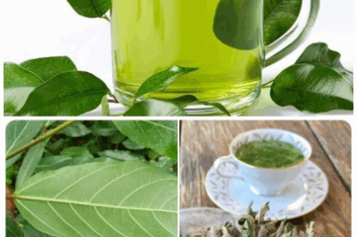 Instantly lowers blood sugar. One of the best-kept secrets in,  fig leaves! Known for their incredible health benefits, boiling fig leaves to make a simple tea can help support healthy blood sugar levels.